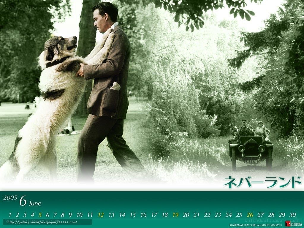Man and dog in park