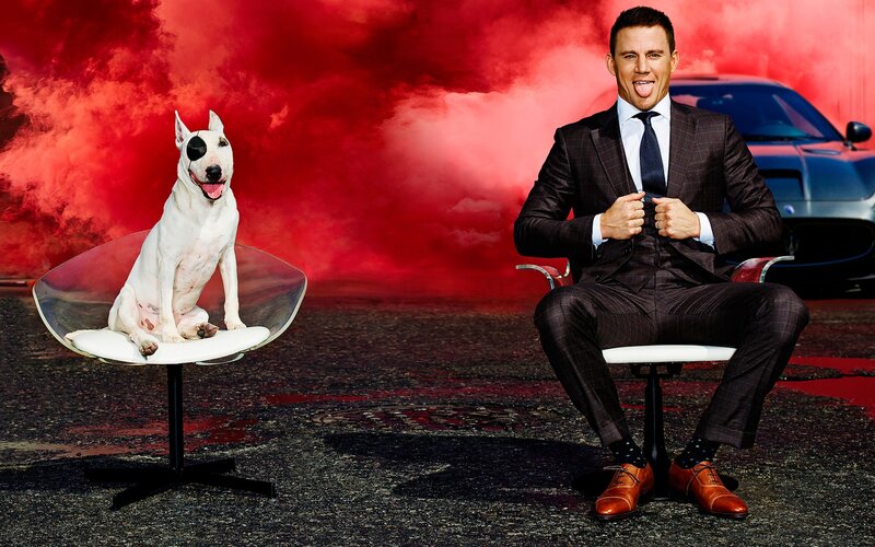 Man and Dog in Suits