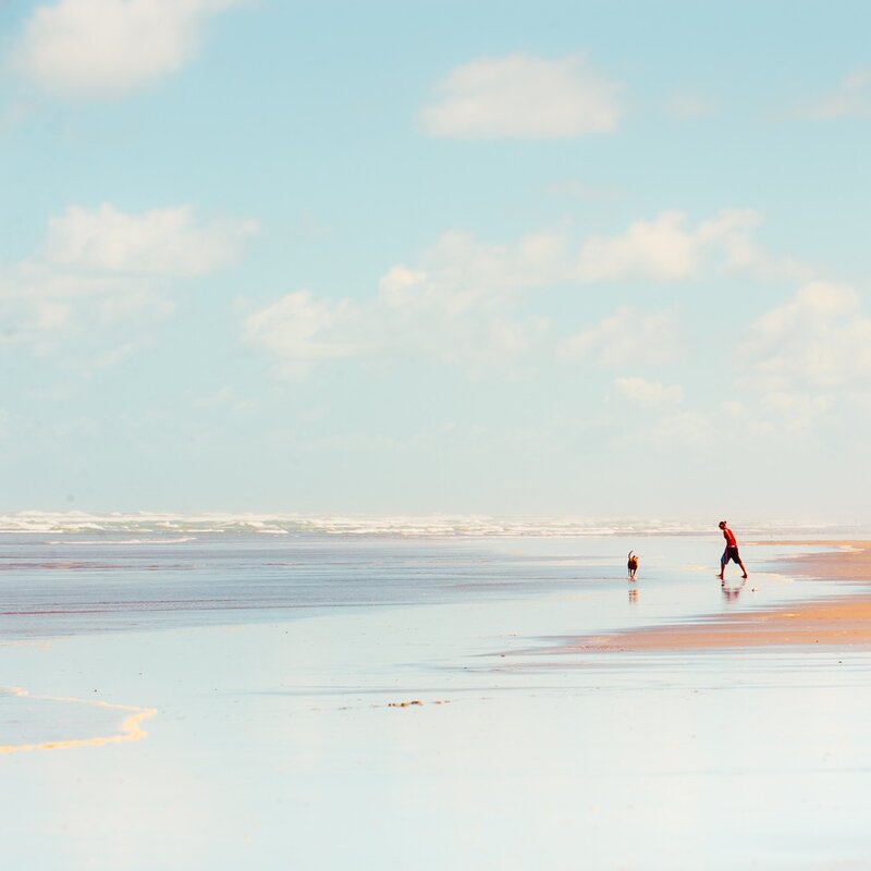 Man and dog on beach