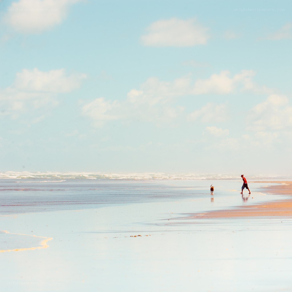 Man and dog on beach