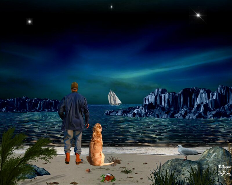 Man and Dog on Beach — Blue, Serene