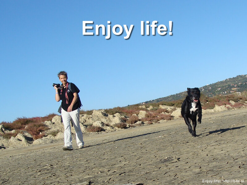 Man and Dog on Beach — Blue