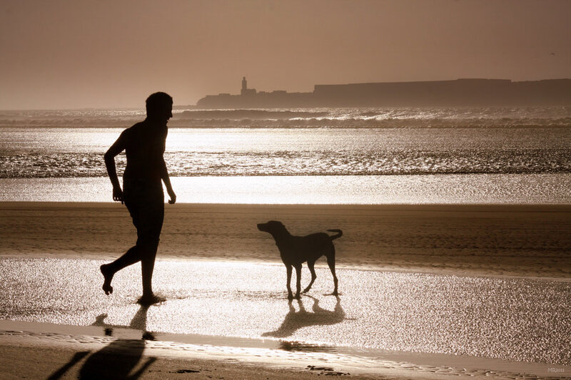 Man and Dog on Beach — Brown