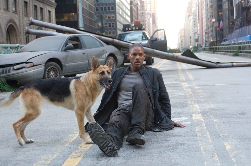 Man and dog on city street