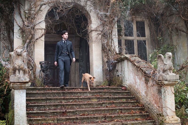 Man and Dog on Steps