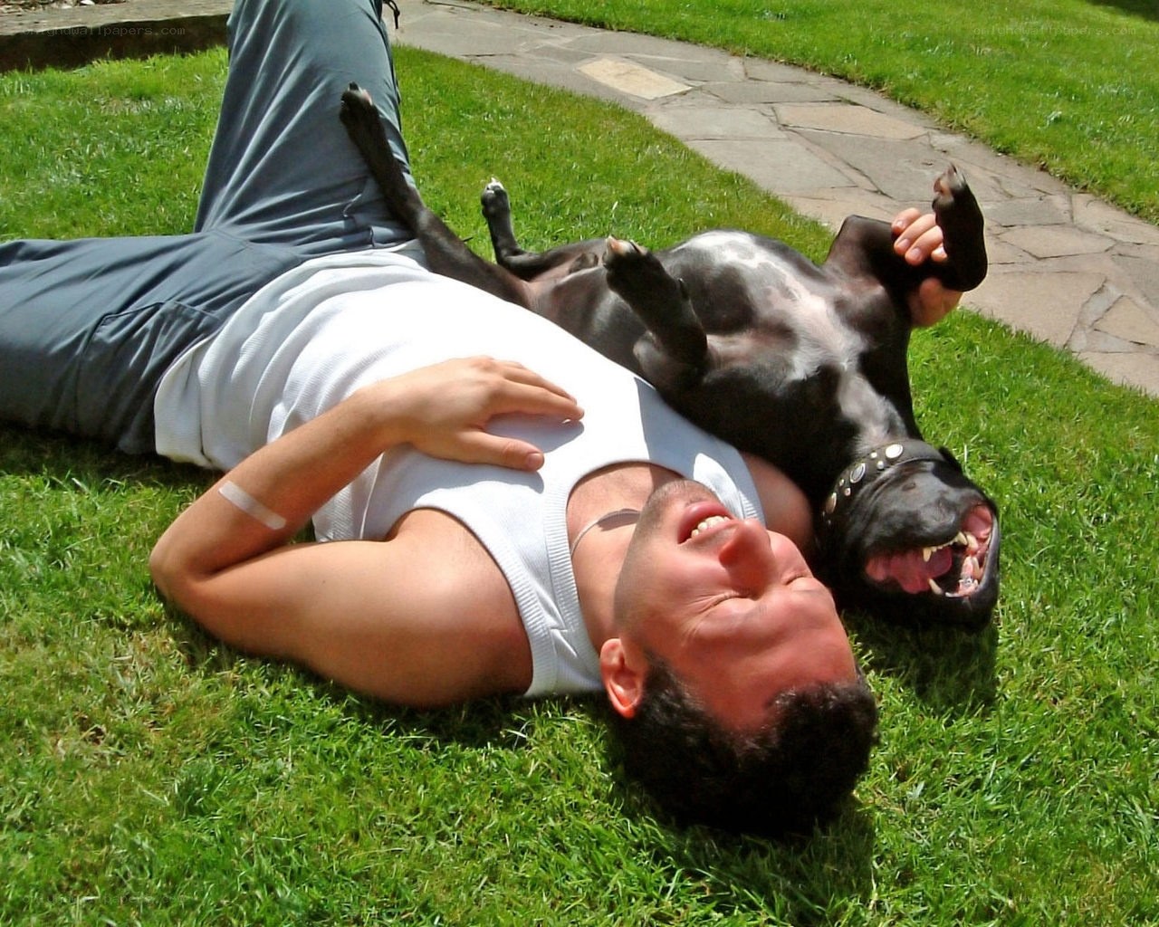 Man and dog relaxing on grass