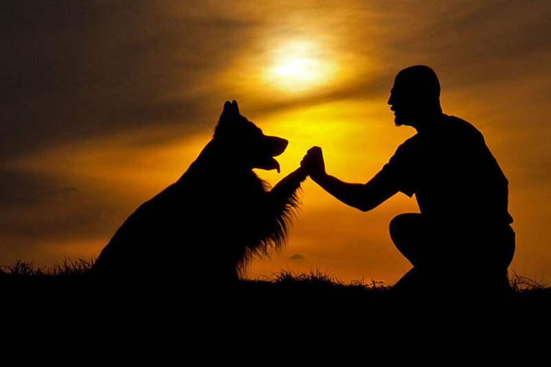 Man and Dog Silhouette