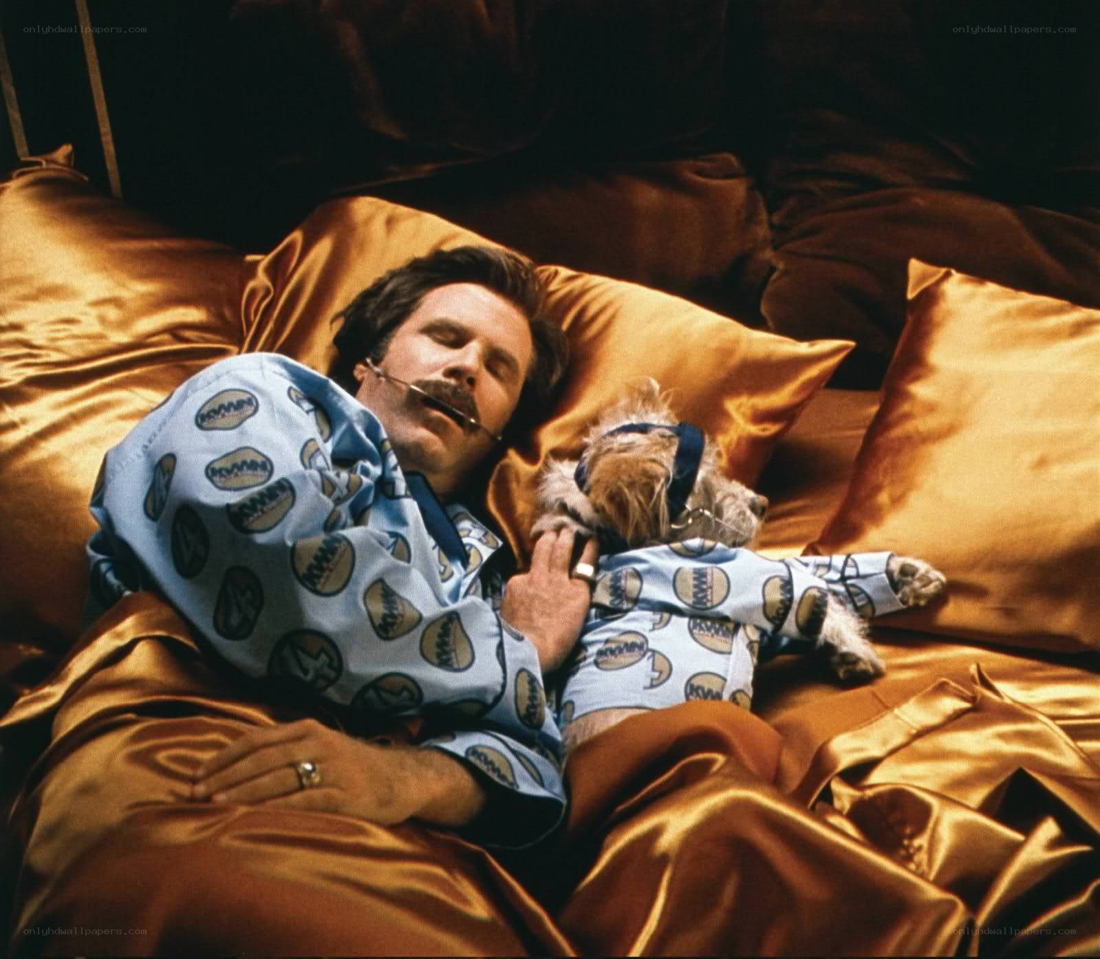 Man and dog sleeping in bed