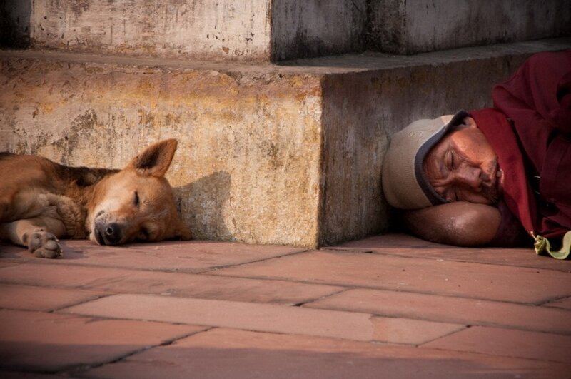 Man and Dog Sleeping
