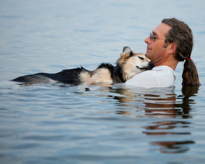 Man and dog swimming together