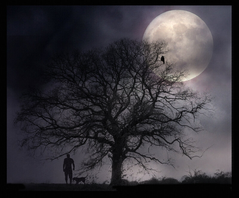 Man and Dog under Tree