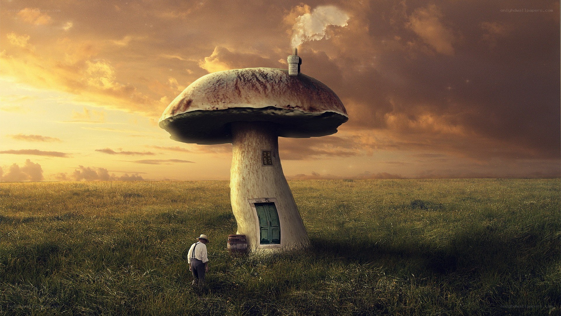 Man and giant mushroom house