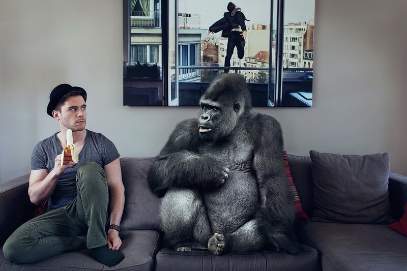 Man and Gorilla on Couch — Gray, Calm