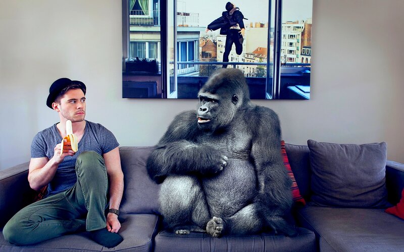 Man and Gorilla on Couch — Gray