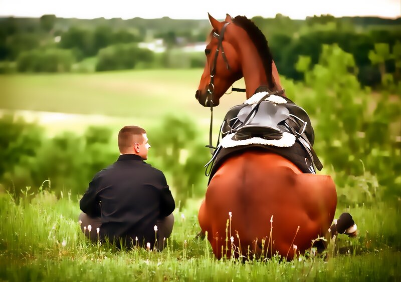 Man and Horse in Field