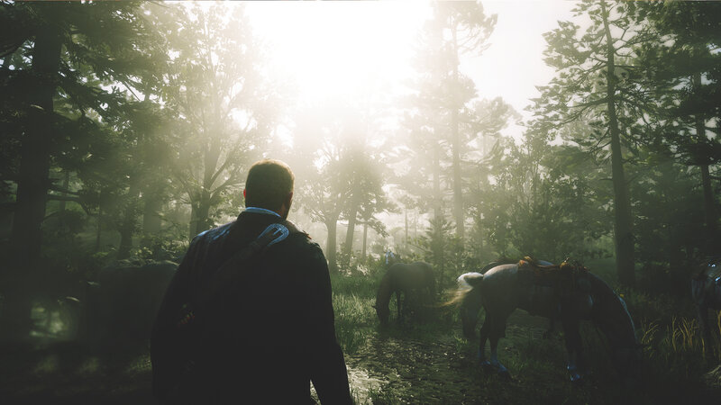 Man and Horses in Forest