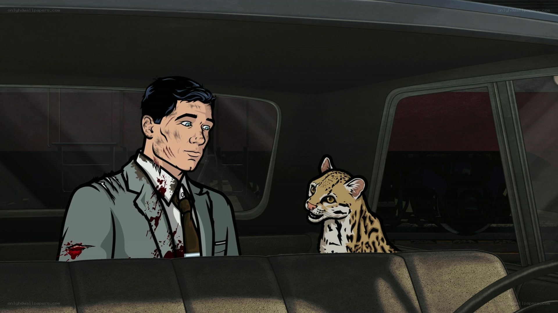 Man and ocelot in a car