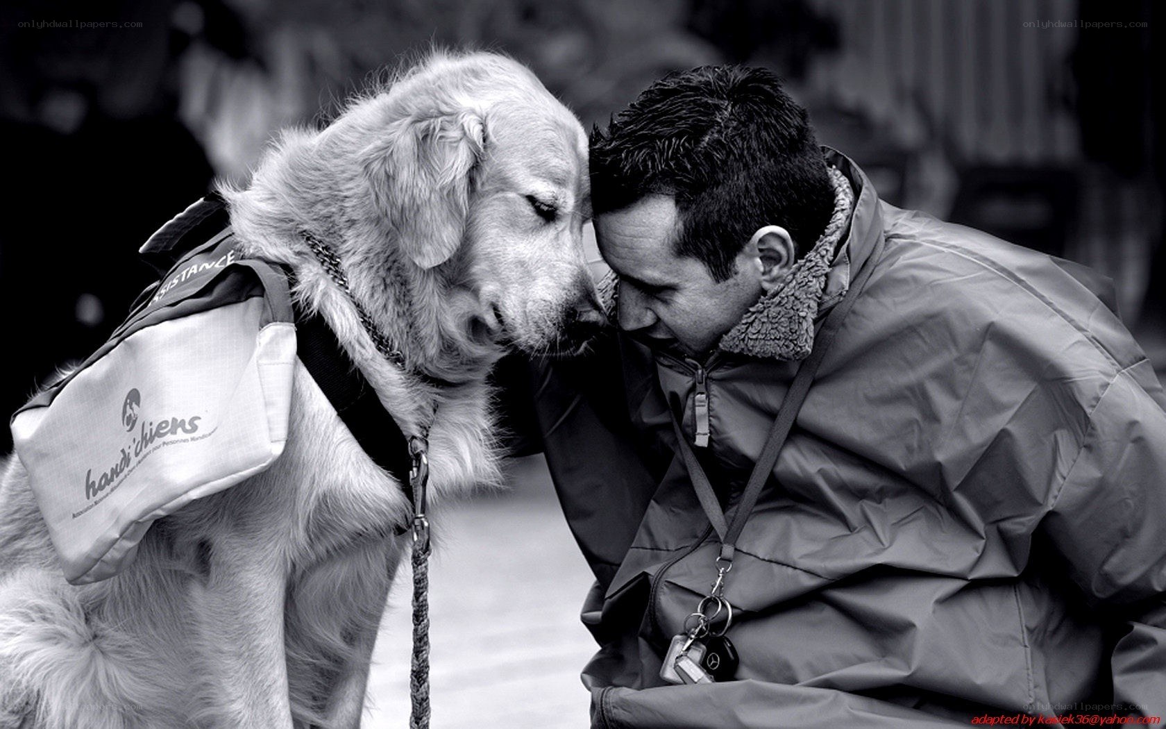 man and service dog together