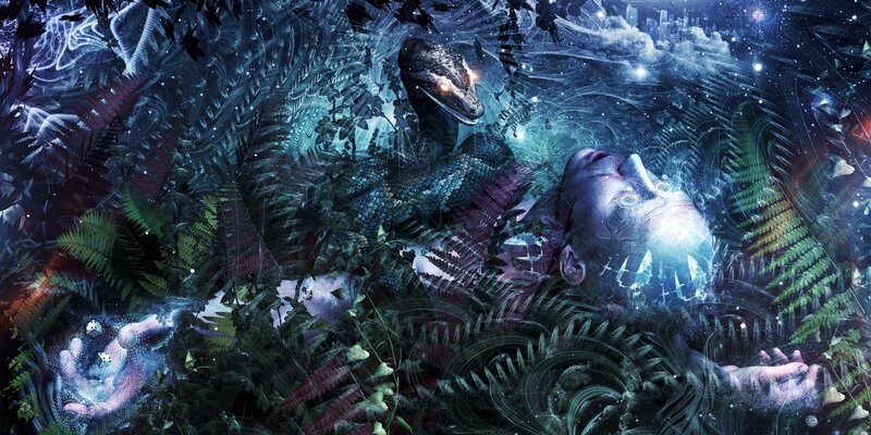 Man and Snake in Forest