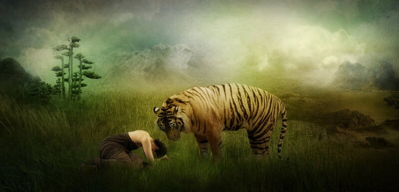Man and Tiger in Field