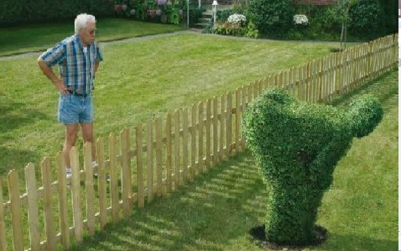 Man and Topiary Bush