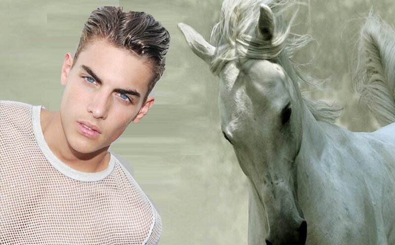 Man and White Horse