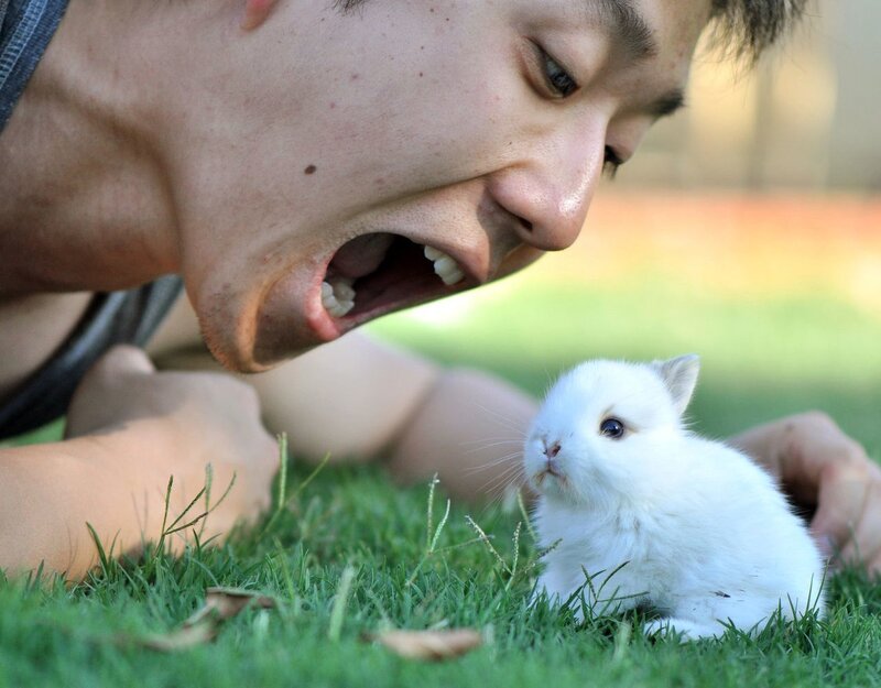 Man and White Rabbit
