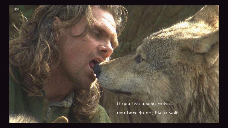 Man and Wolf Face-to-face — Brown