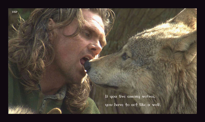 Man and Wolf Face-to-face