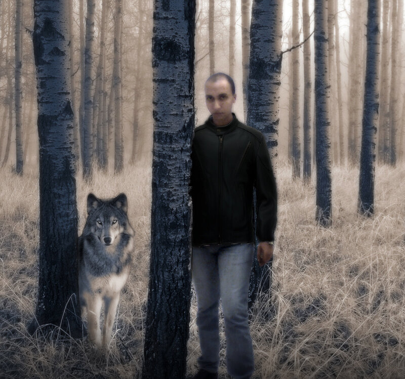 Man and Wolf in Forest