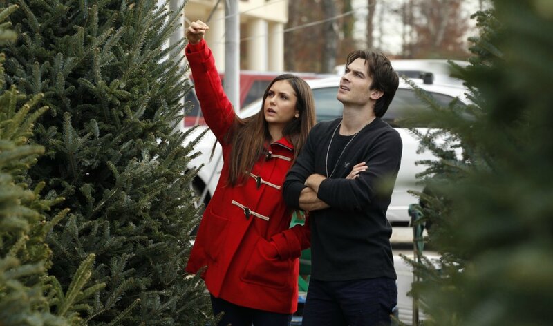 Man and Woman Choosing Tree