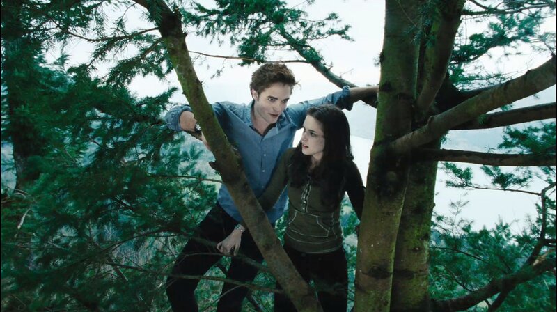 Man and Woman in Tree