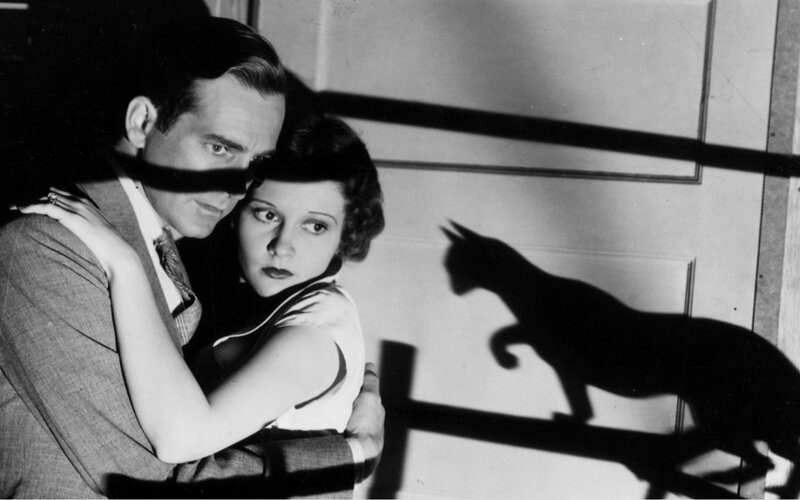 Man and woman with cat shadow