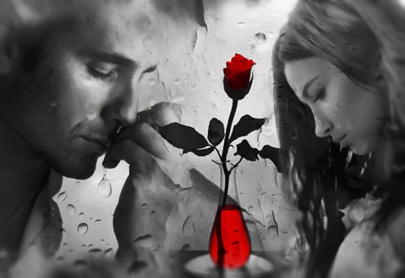 Man and Woman with Rose — Red, Dramatic, Photograph
