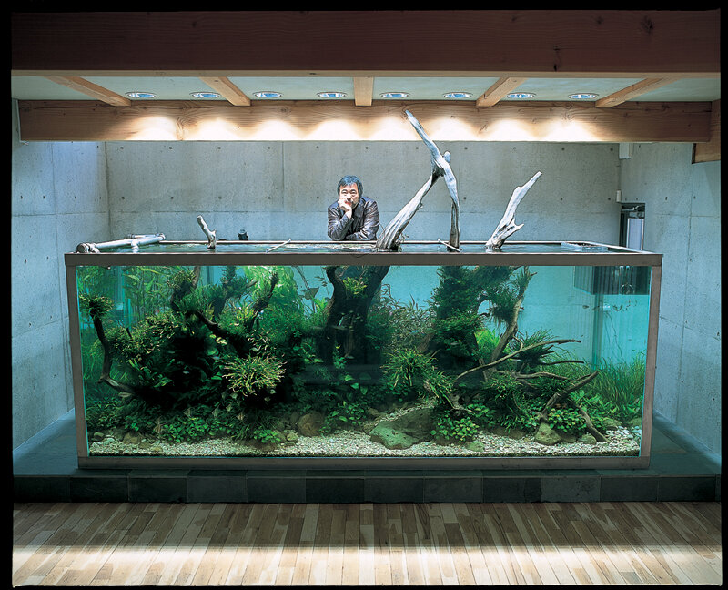 Man behind aquarium display