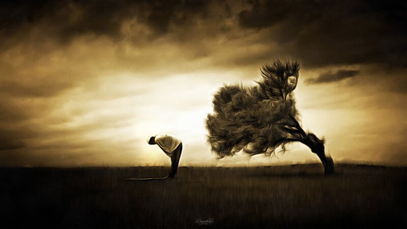 Man Bowing in Field