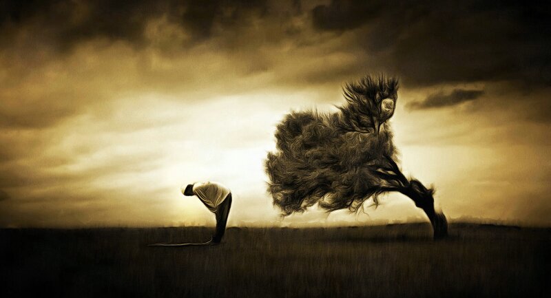 Man Bowing to Tree
