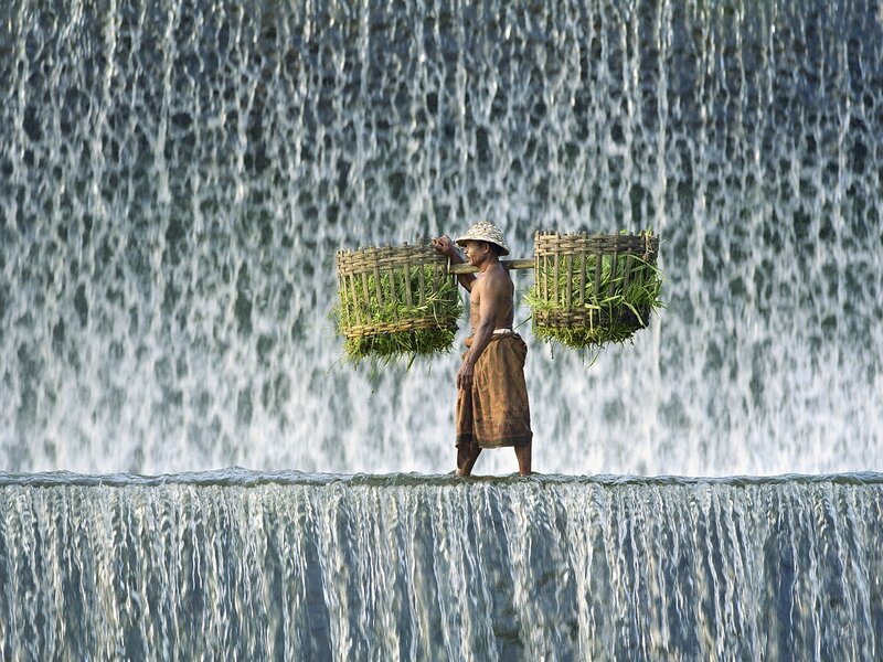 Man Carrying Baskets — Green, Dramatic