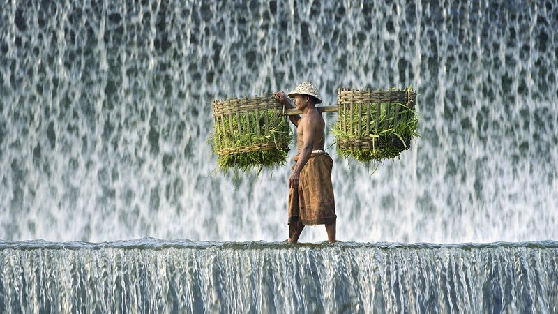 Man Carrying Baskets — Green
