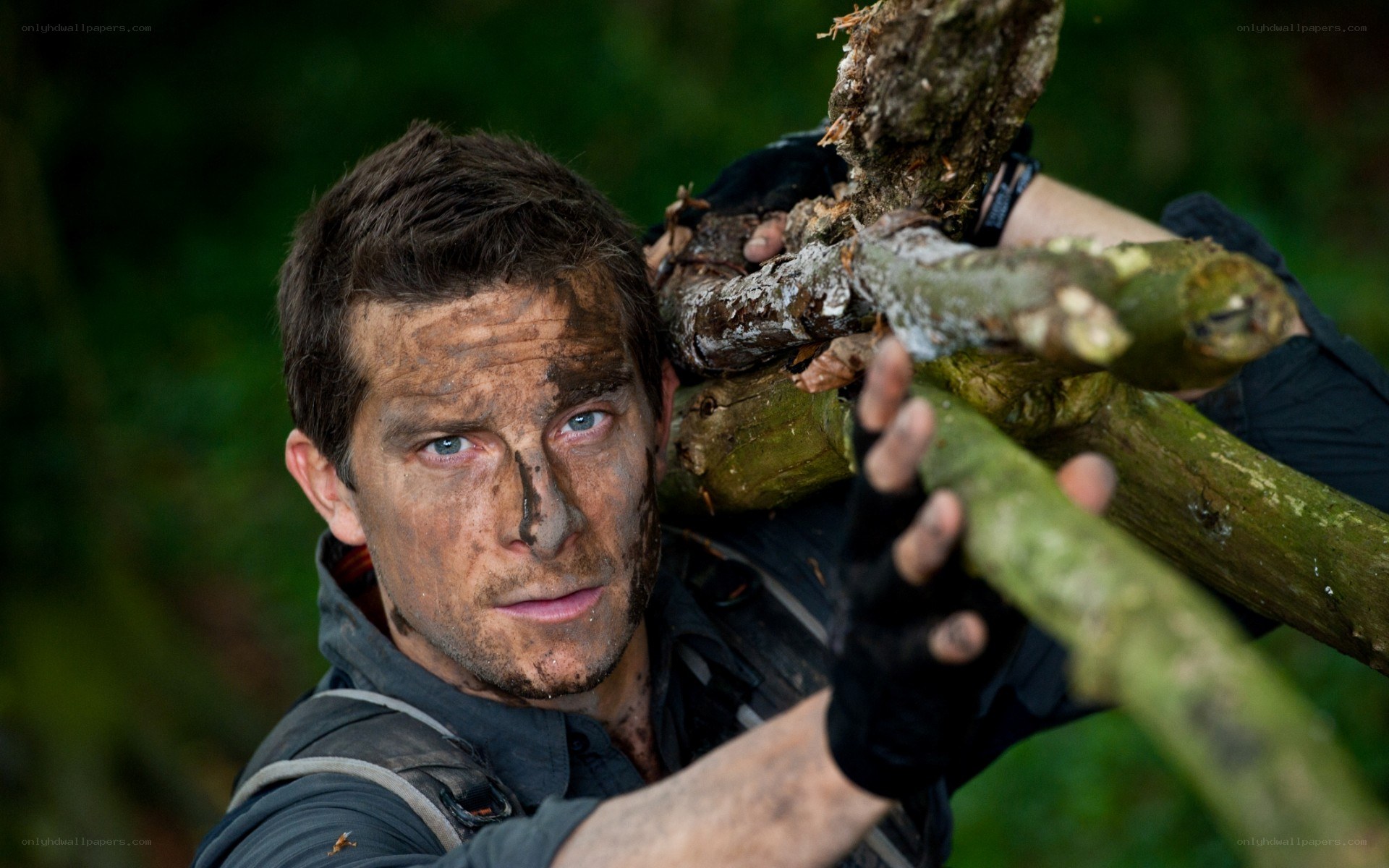 man carrying logs in forest