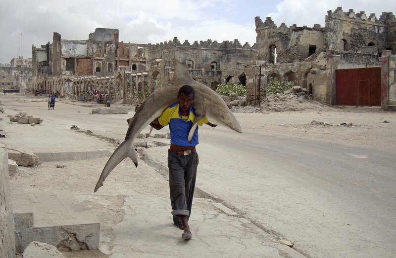 Man carrying shark in war-torn city