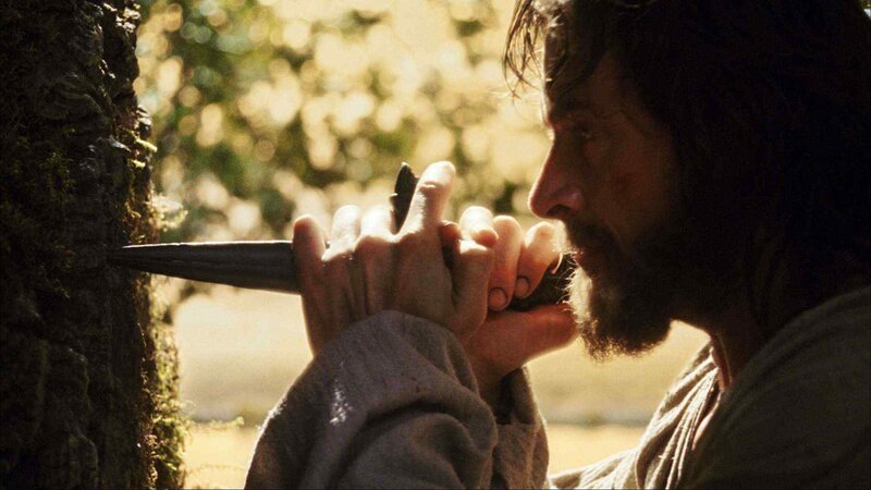 man carving a tree with knife