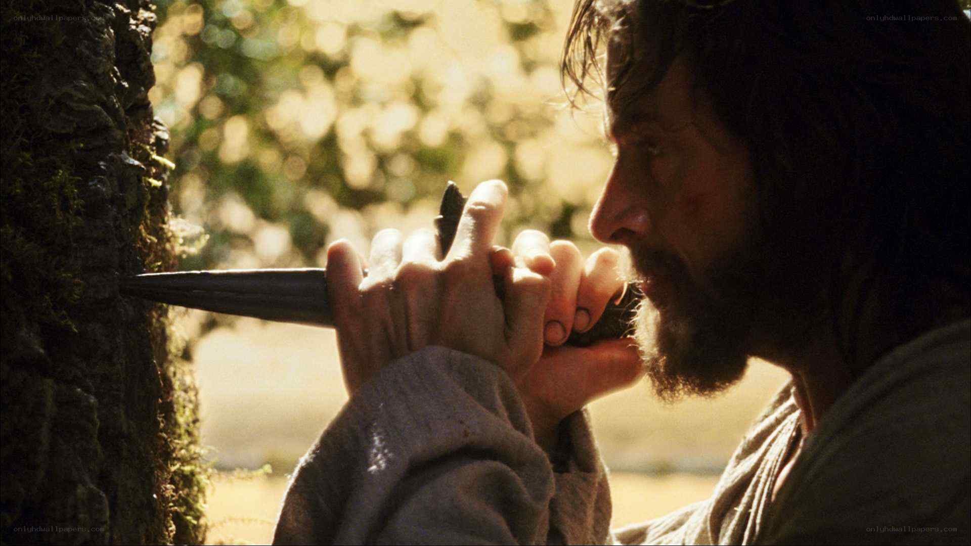 man carving a tree with knife