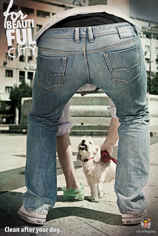 Man Cleaning Dog Waste