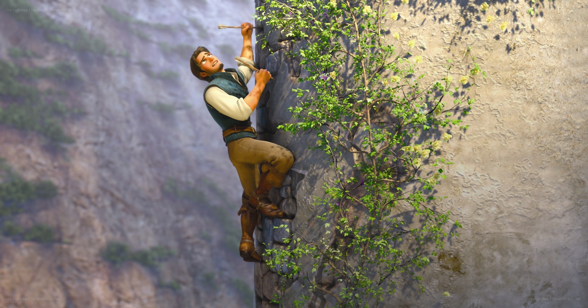 man climbing a cliff