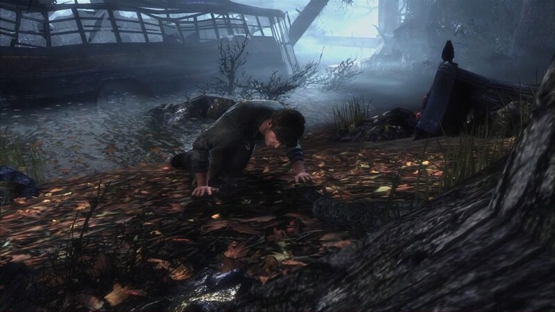 man crawling in forest