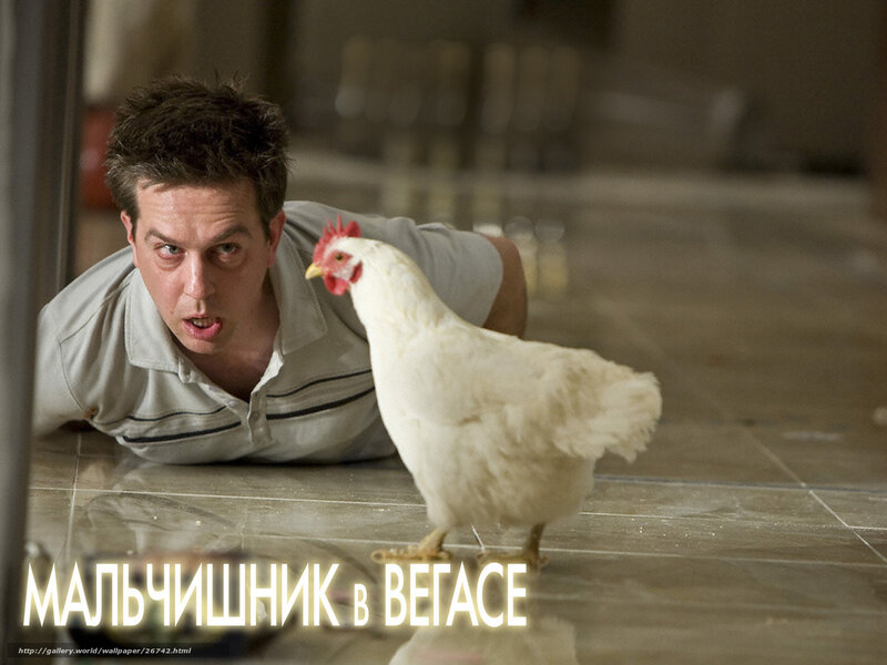 Man crawling with chicken