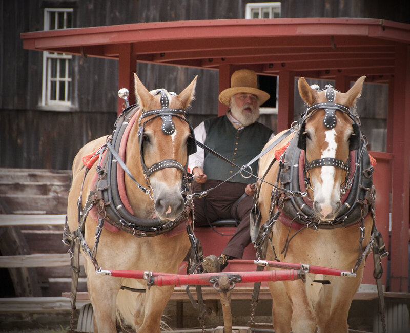 Man Driving Horse-drawn Carriage — Brown
