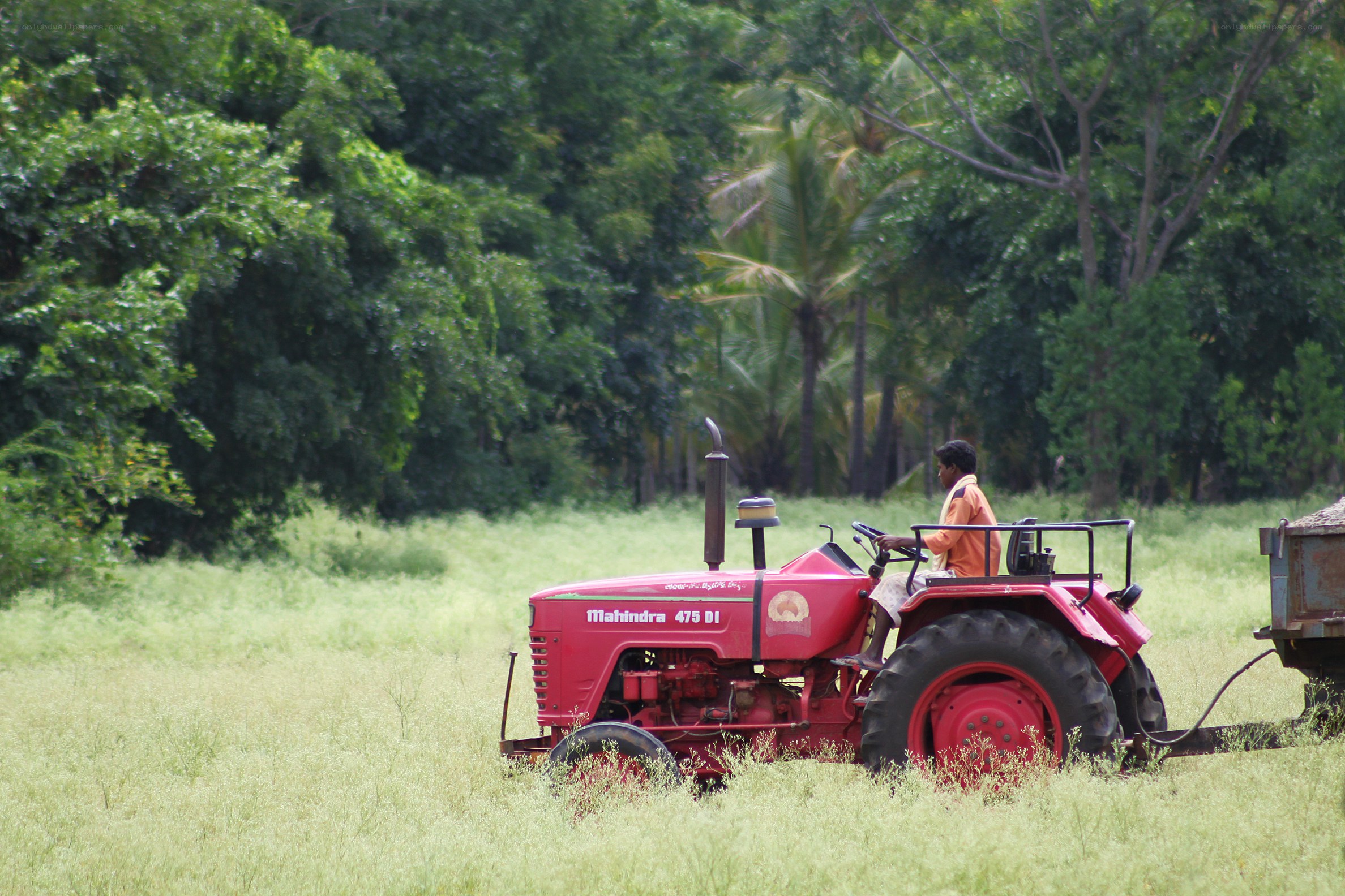 Man driving tractor in field