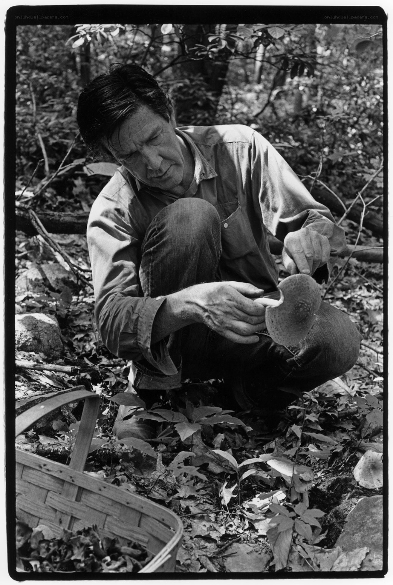 man examining mushroom in forest